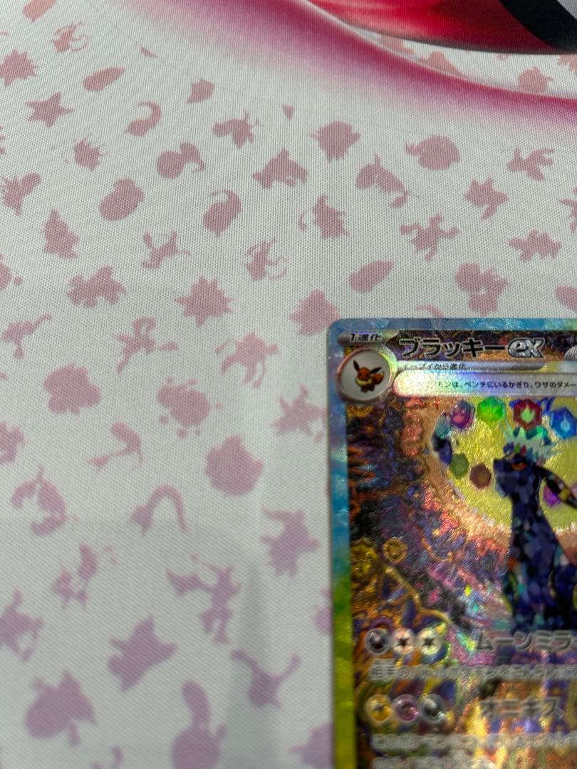 テラスタルフェス　ブイズsar8種セット