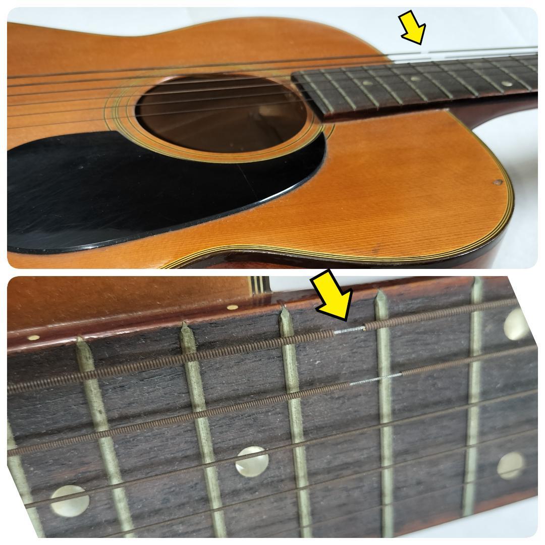 Elite Takamine アコースティックギター F80 ナチュラルウッド