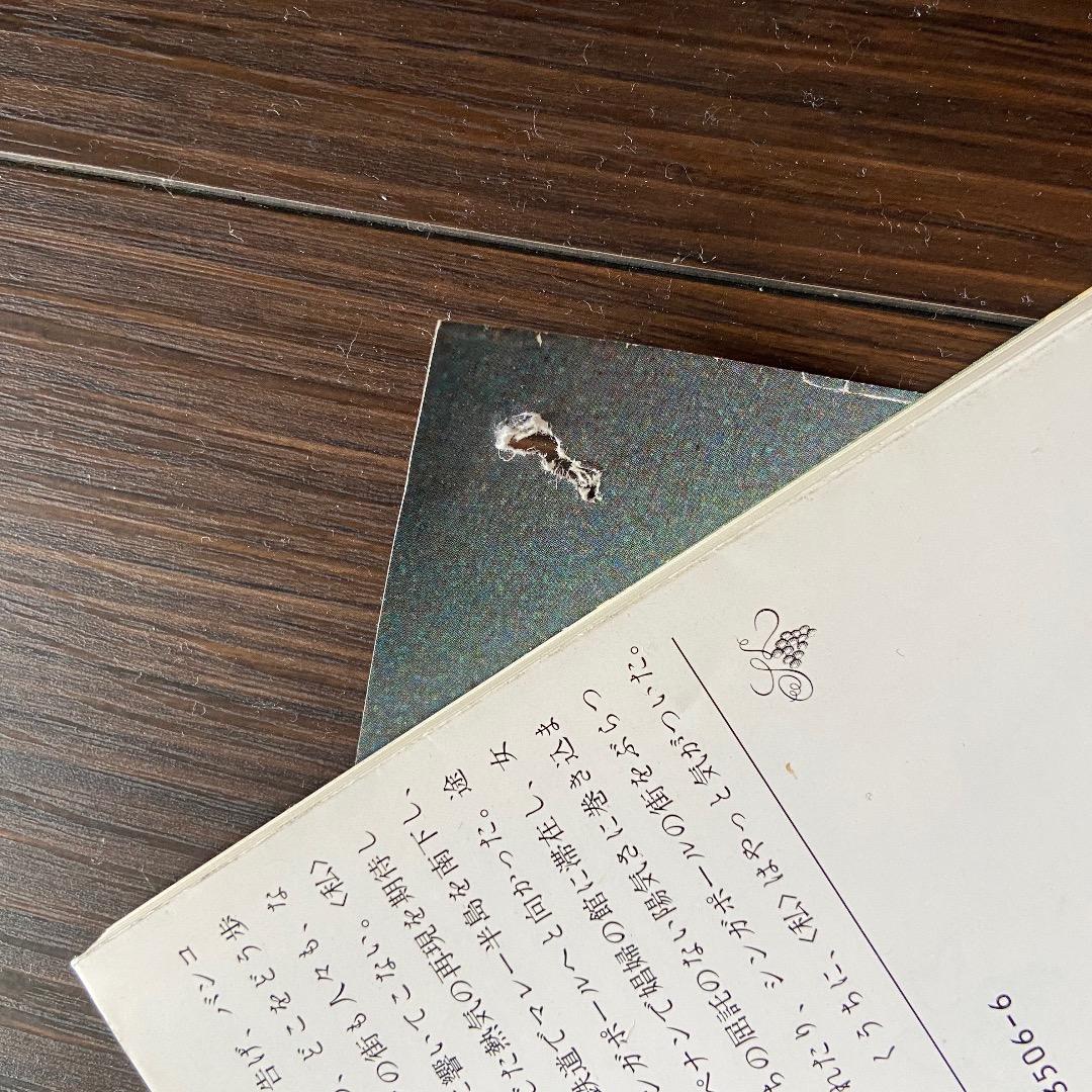 AKIRA　大判ポスター（アキラ・大友克洋・映画・特大）