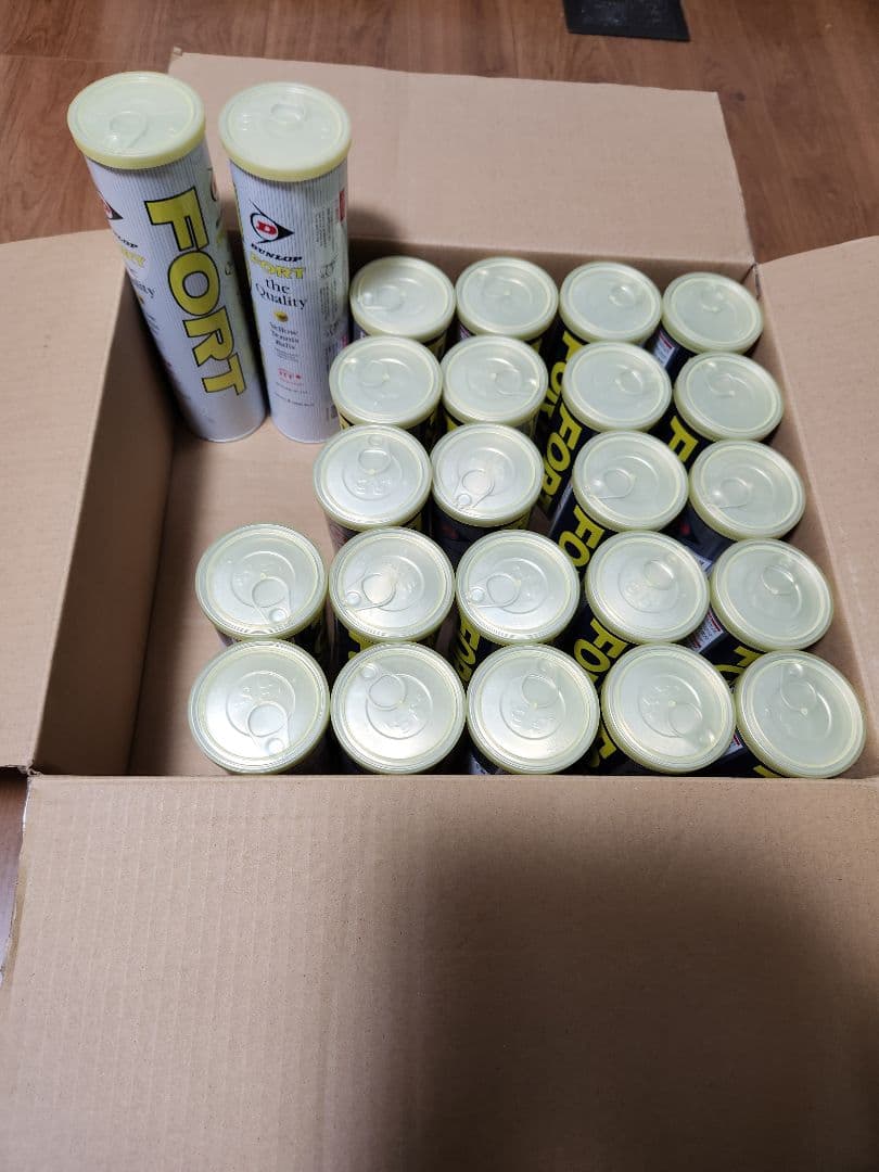 DUNLOP FORT テニスボール 2球缶×22個　+　４球缶×2個セット DUNLOP FORT テニスボール 2球缶×22個 + 4球缶×2