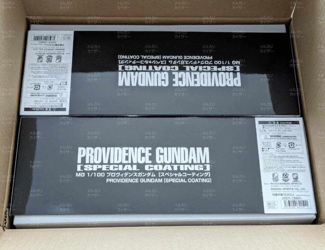 2個セット MG 1/100 プロヴィデンスガンダム [スペシャルコーティング]