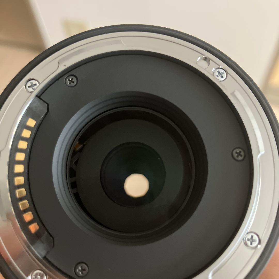 sigma 16-300mm f3.5-6.7 DC OS Lマウント