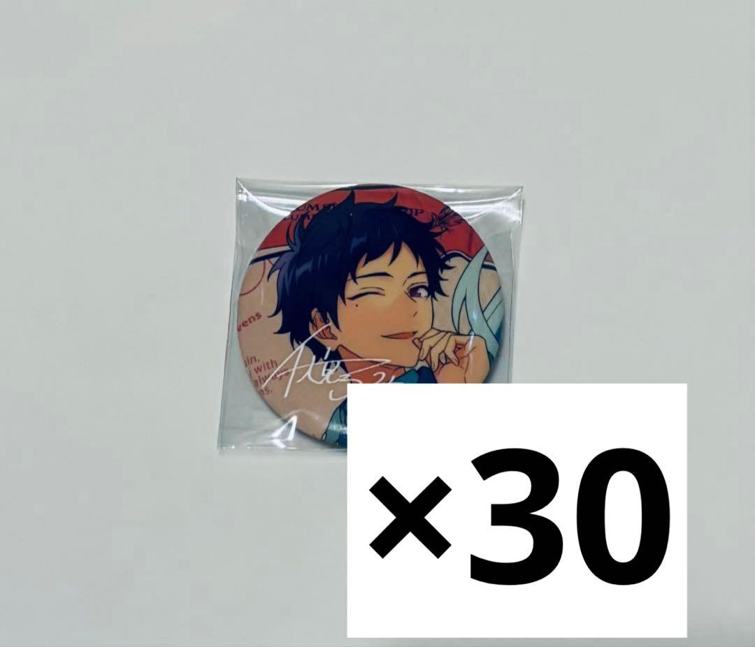 あんスタ TRIP 缶バッジ 伏見弓弦 あんスタ伏見弓弦TRIP ALBUM 缶バッジ