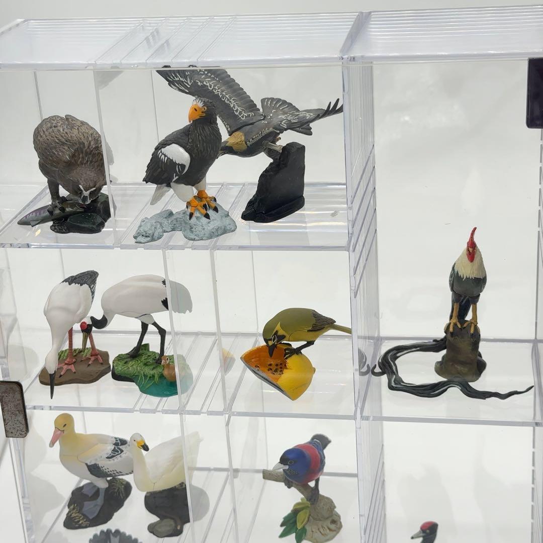 希少品 小学館 週刊 日本の天然記念物 52体セット まとめ売り