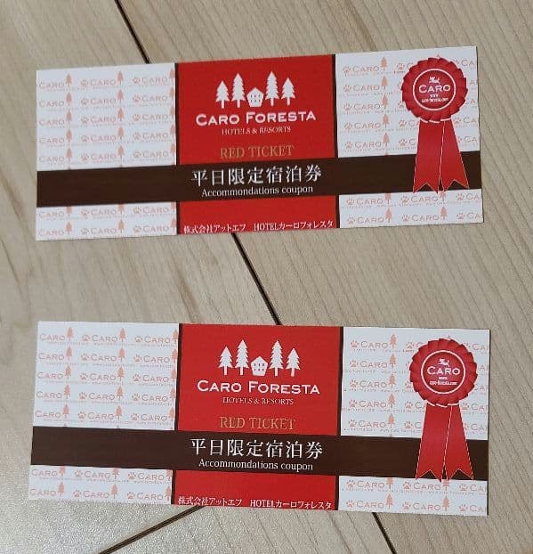 コスタリカ産 昆虫標本 2種セット - WWW.STARCARSHQ.COM