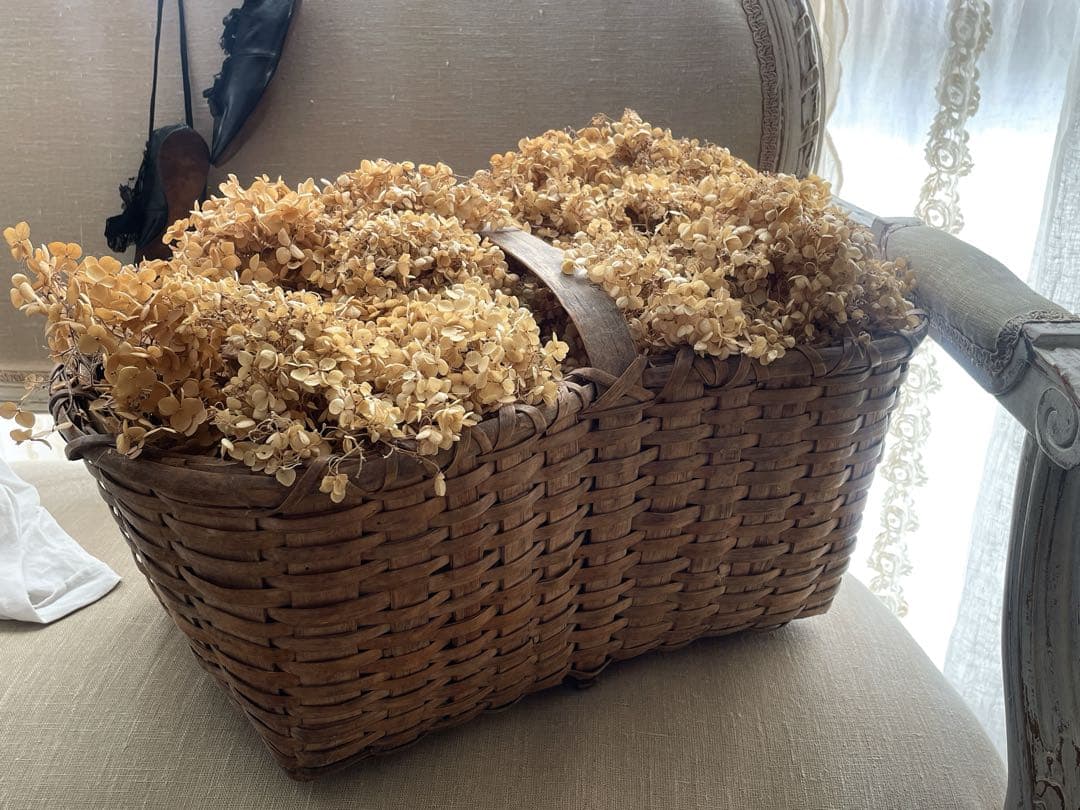 フランスアンティーク 特大パニエ ドライフラワー アナベル バスケット