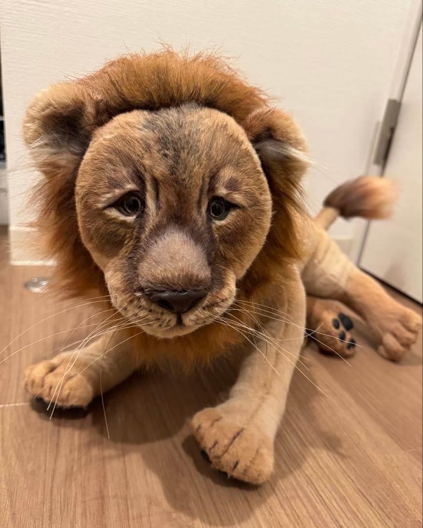 海外作家様作 アートドール 帽子を被ったライオン - メルカリ