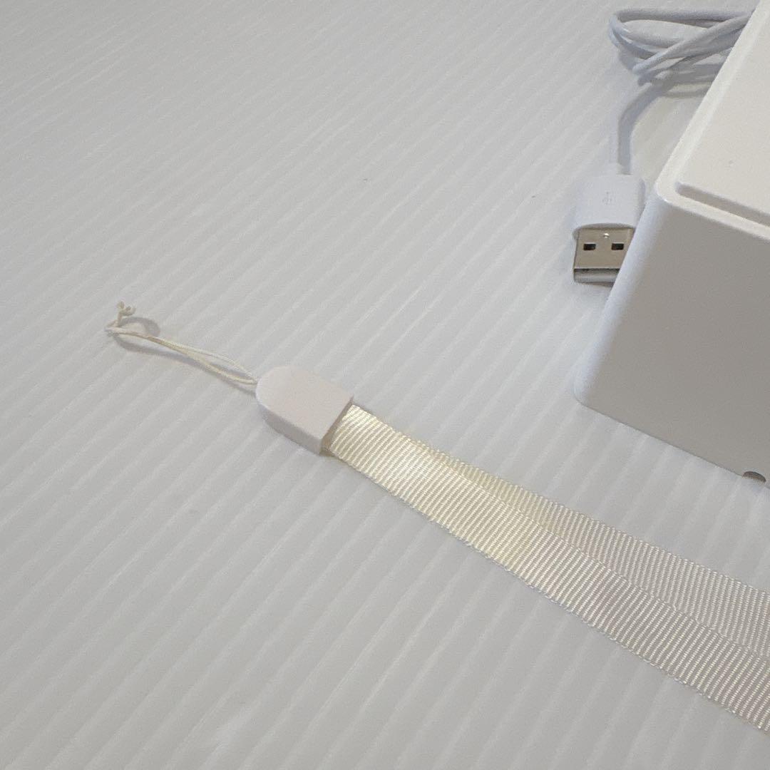 【動作確認済み】 NIZIU 公式 ペンライト MAYUKA ケース付き