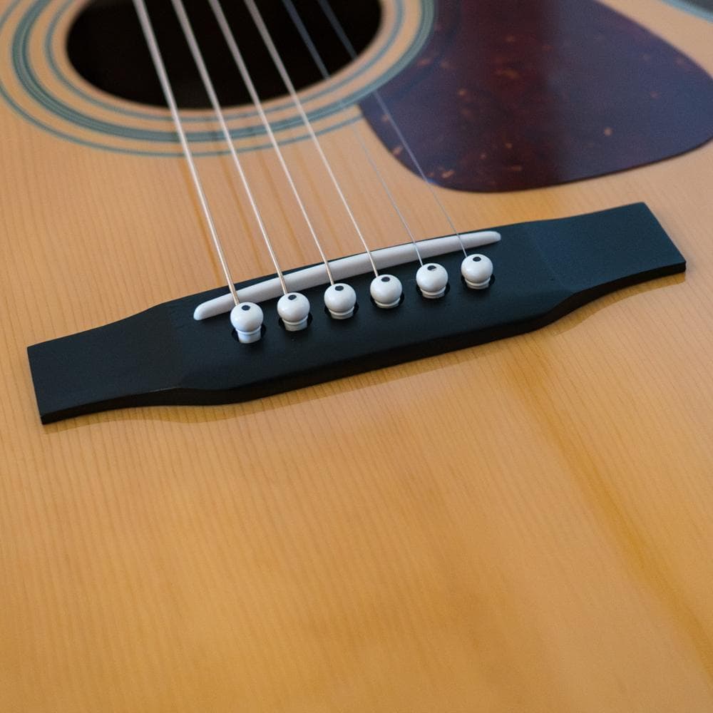 MORRIS MF-251 2000年 極上コンパクト - winetouritalia.com