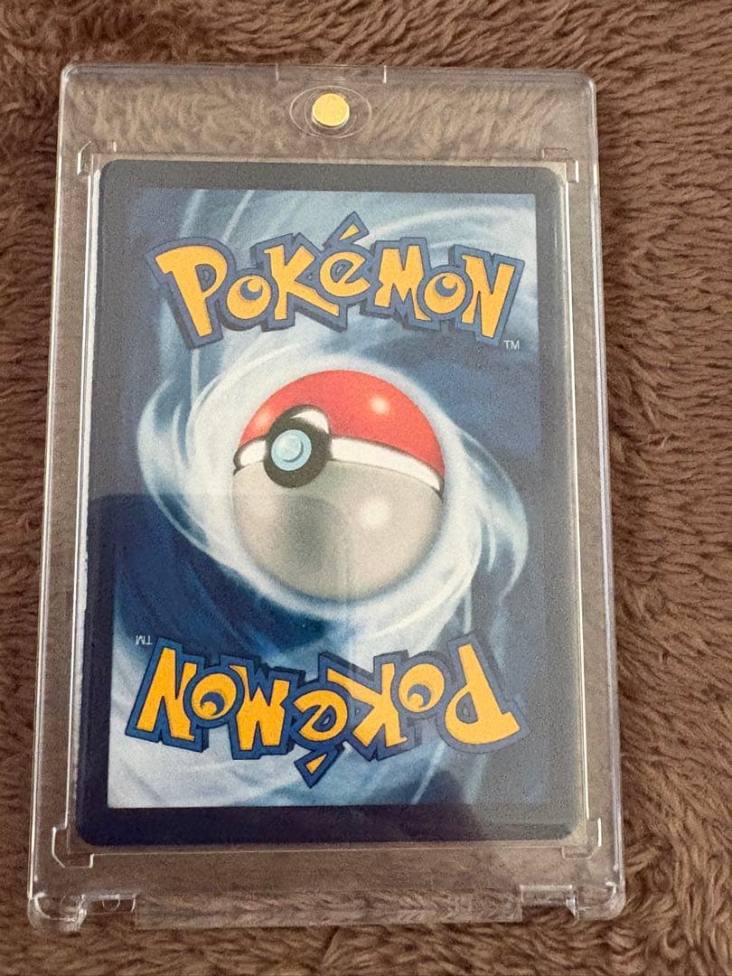 慎*猿様 500円企画　ゴッホピカチュウ