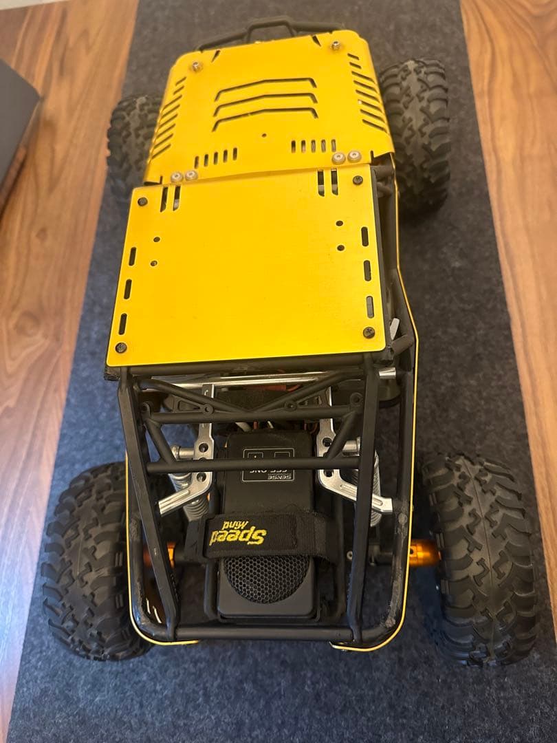 axial アキシャル レイス