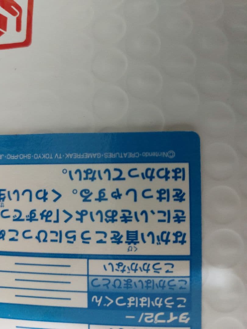 ゼニガメ meiji 希少品