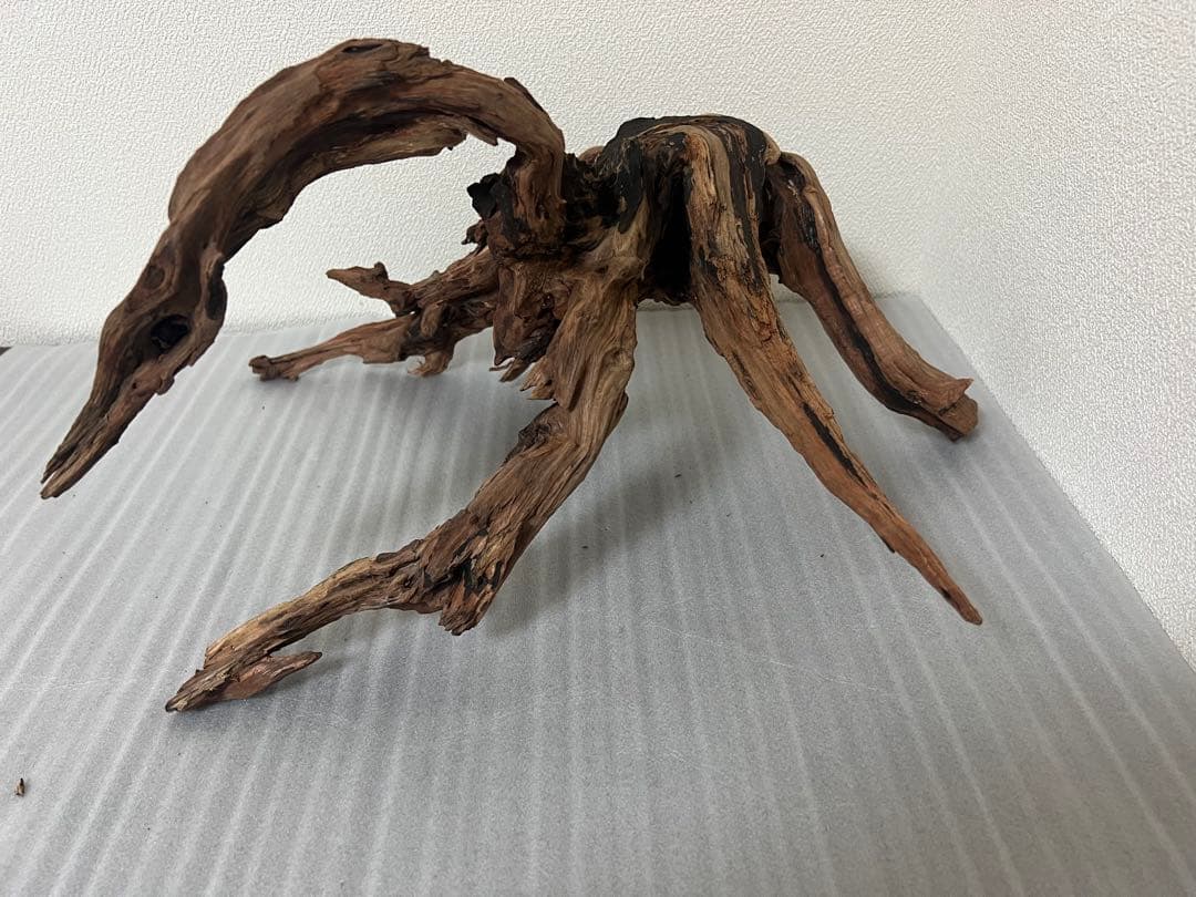 HX-079 流木 ホーンウッド マシンガンウッド アクアリウム ブランチウッド