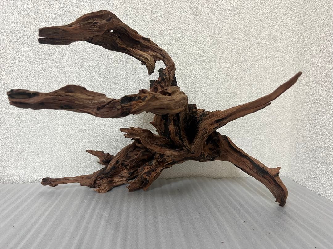 HX-079 流木 ホーンウッド マシンガンウッド アクアリウム ブランチ