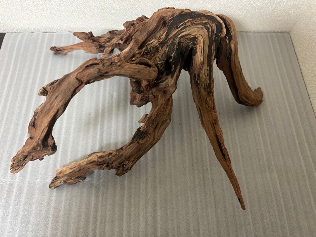 HX-079 流木 ホーンウッド マシンガンウッド アクアリウム ブランチ