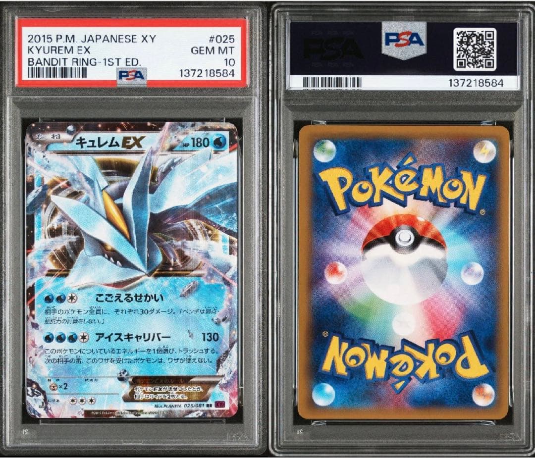 【希少】【PSA10】キュレムEX RR バンデッドリング 1stedition