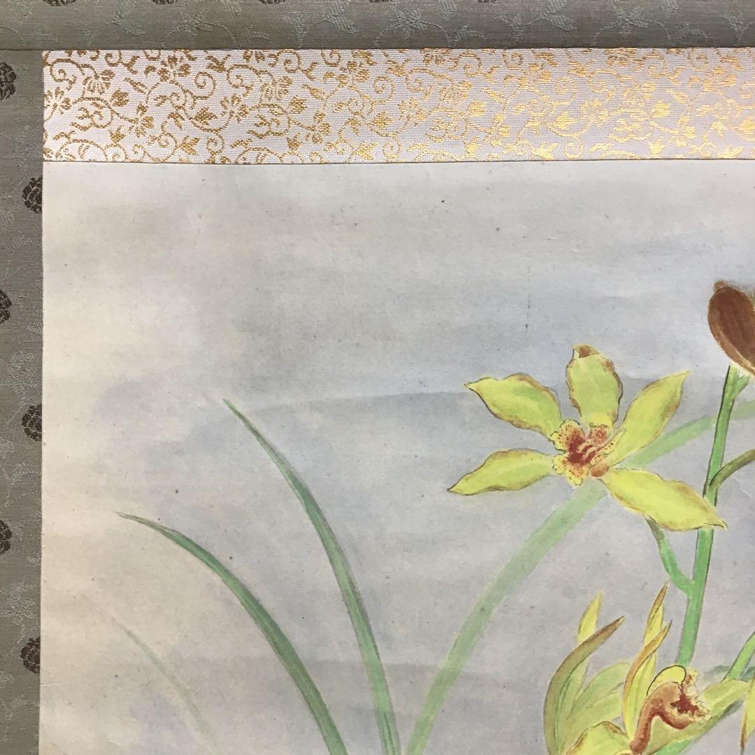 K茶道具 掛軸 「洋蘭の図」 古楊作 共箱 S1007KJ