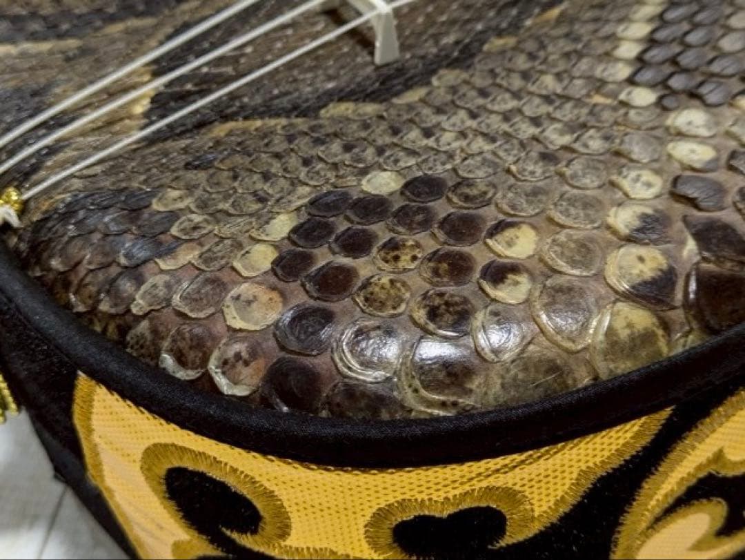 三線 胴 蛇皮（裏側破れ）【ケース付き】 訳あり