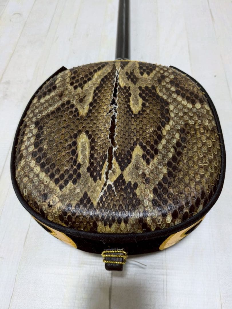三線 胴 蛇皮（裏側破れ）【ケース付き】 訳あり