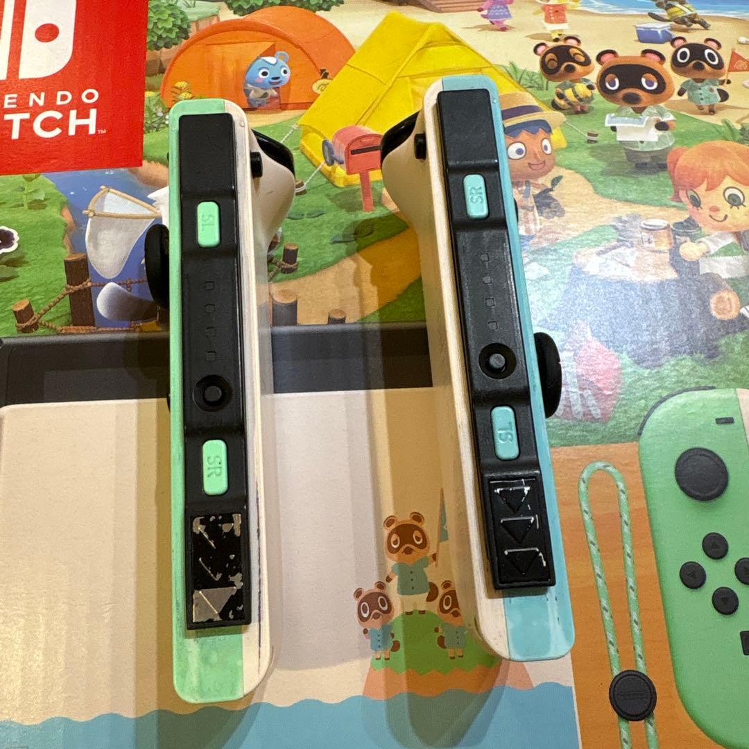 ニンテンドースイッチ あつまれどうぶつの森セット