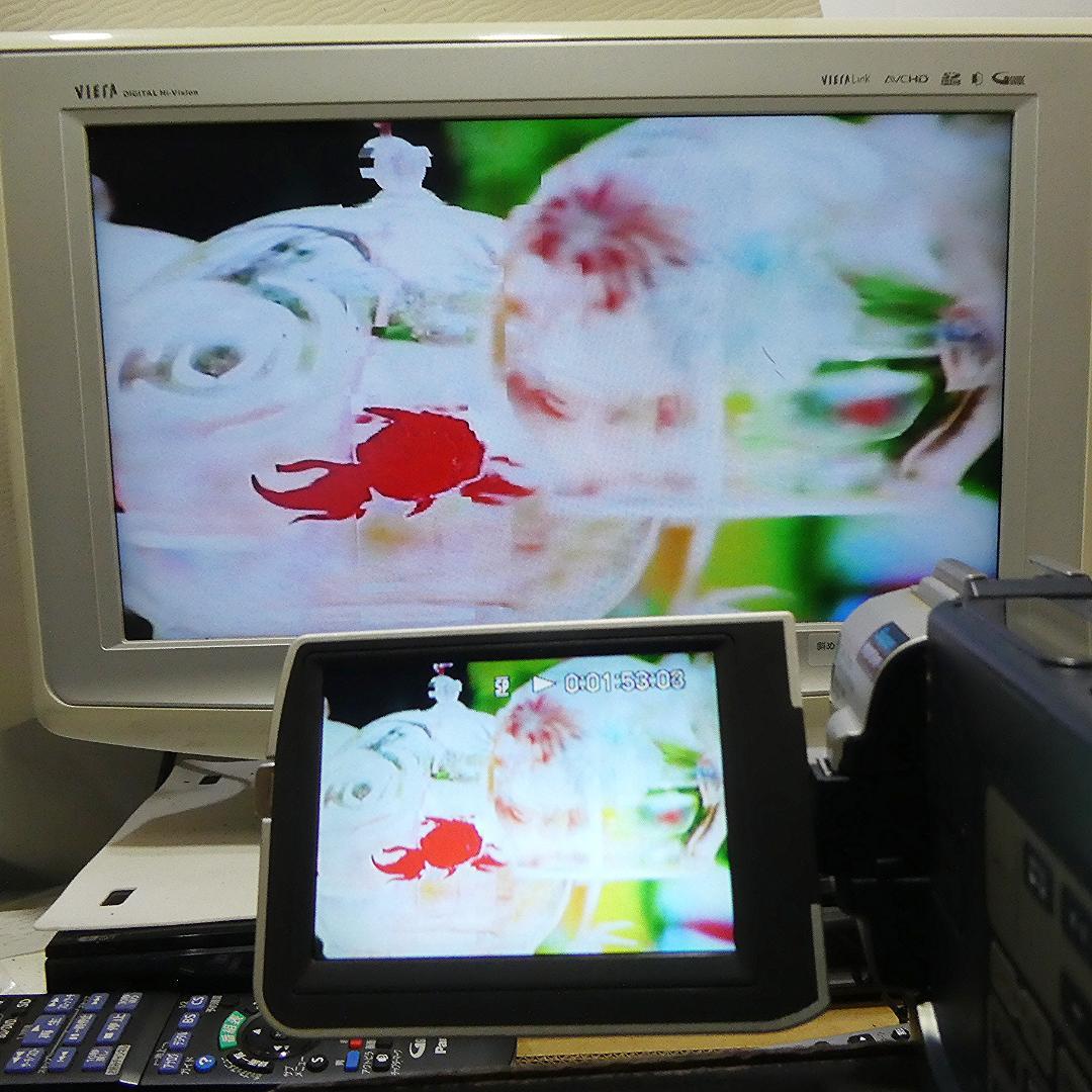 動作品ソニー DCR-TRV17 Mini DVビデオカメラDVDダビングに最適