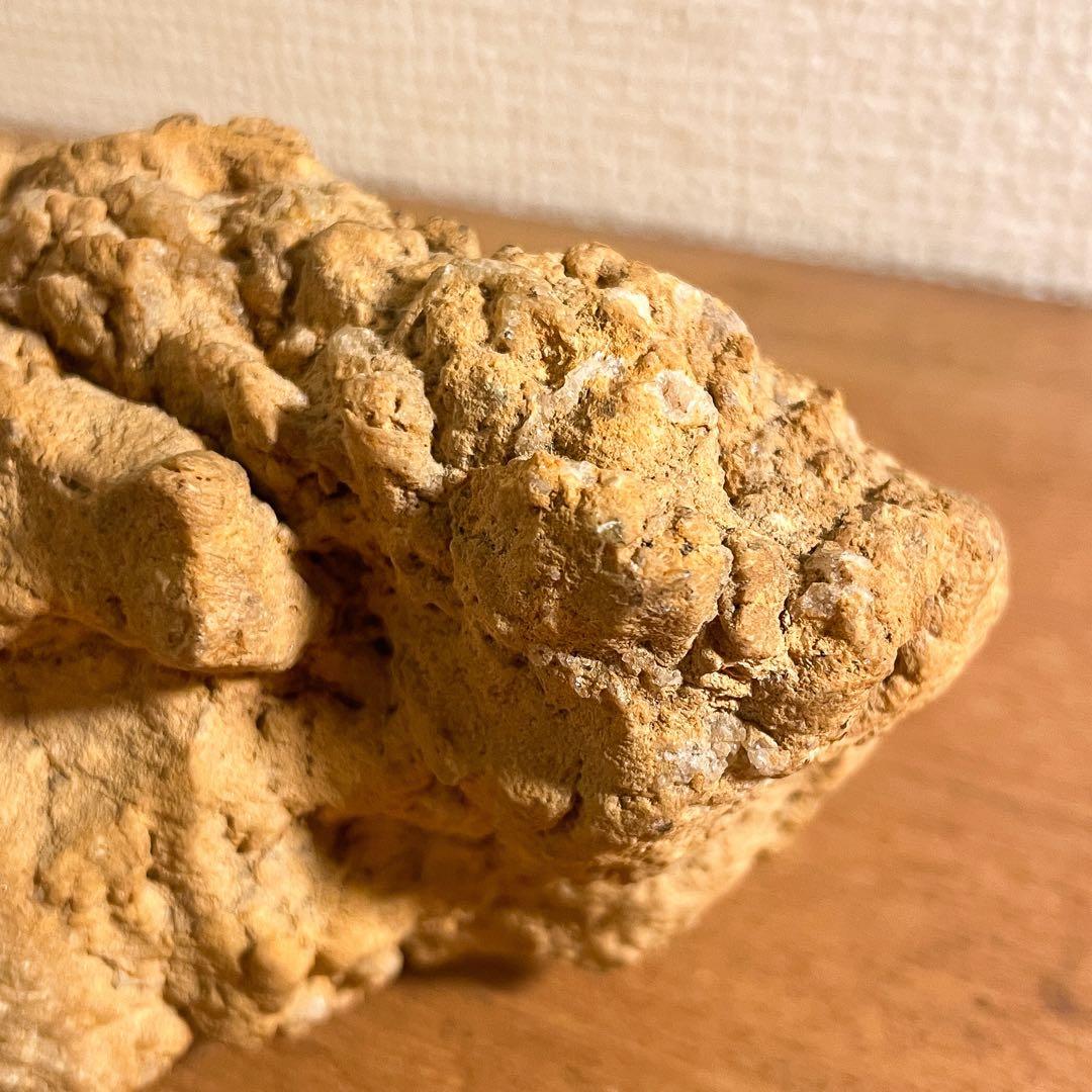 恐竜の糞 コプラライト 900g 恐竜型 ティラノサウルスレックス