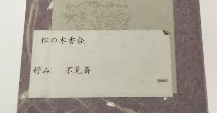 茶道具 不見斉好 松の木香合 桐箱 新品未使用