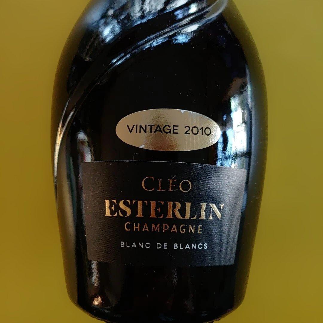 Boko様専用 ビンテージ シャンパーニュ エステルラン2010 2本セット