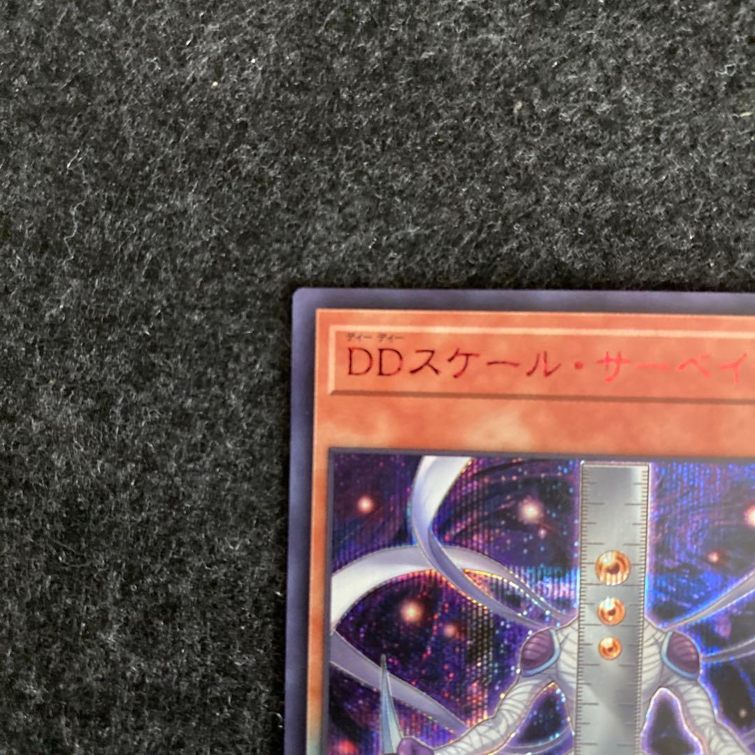 【最安値 希少】DDスケール・サーベイヤー 赤シク 赤シークレット