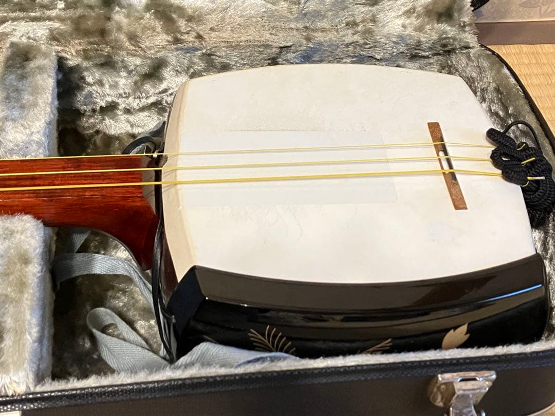 津軽三味線 撥 ハードケース