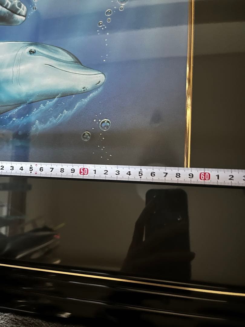 クリスチャンラッセン Dolphin Quest Ⅱ