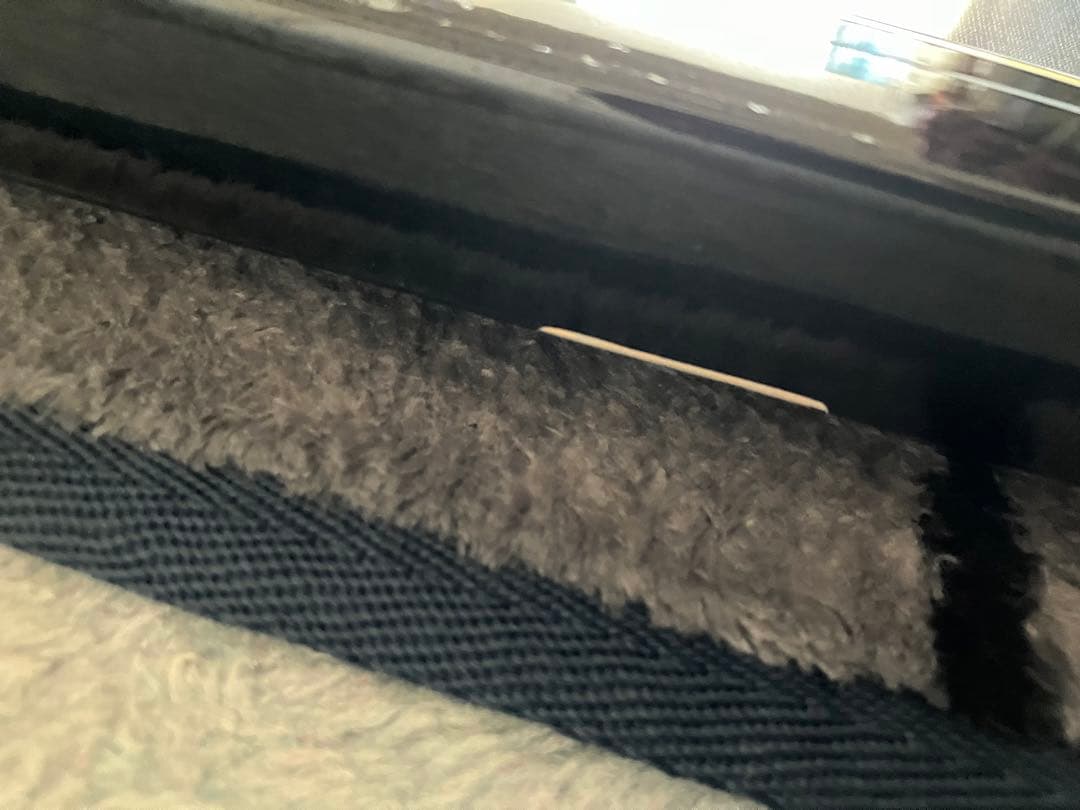 クリスチャンラッセン Dolphin Quest Ⅱ