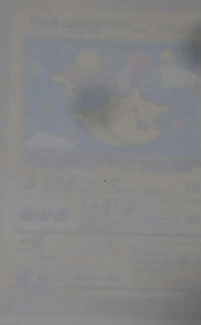 ポケモンカード なみのりピカチュウ そらをとぶピカチュウ 旧裏 プロモ 未剥がし