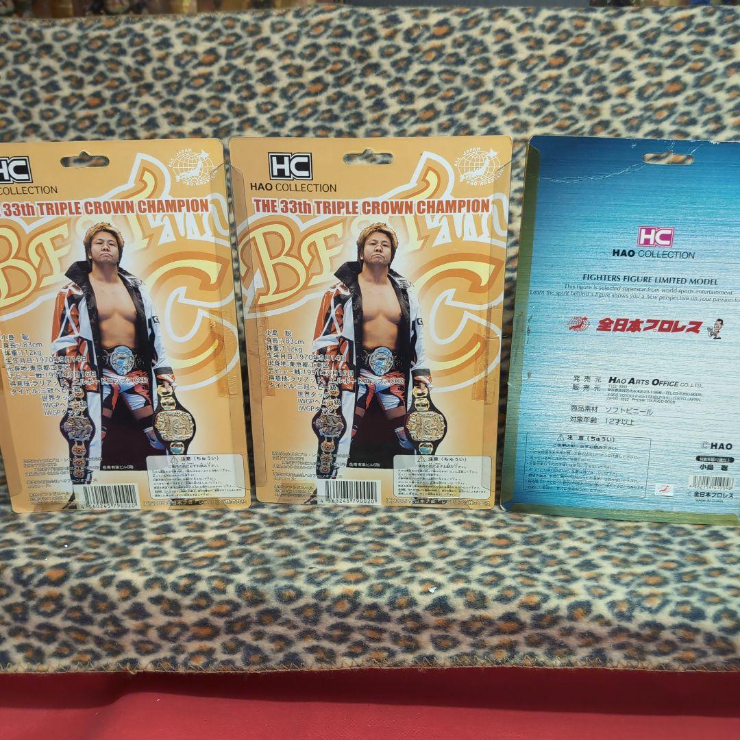 ハオ　ＨＡＯ プロレス 小島　聡　ＨＣ スペシャルバージョンセット サイン入り