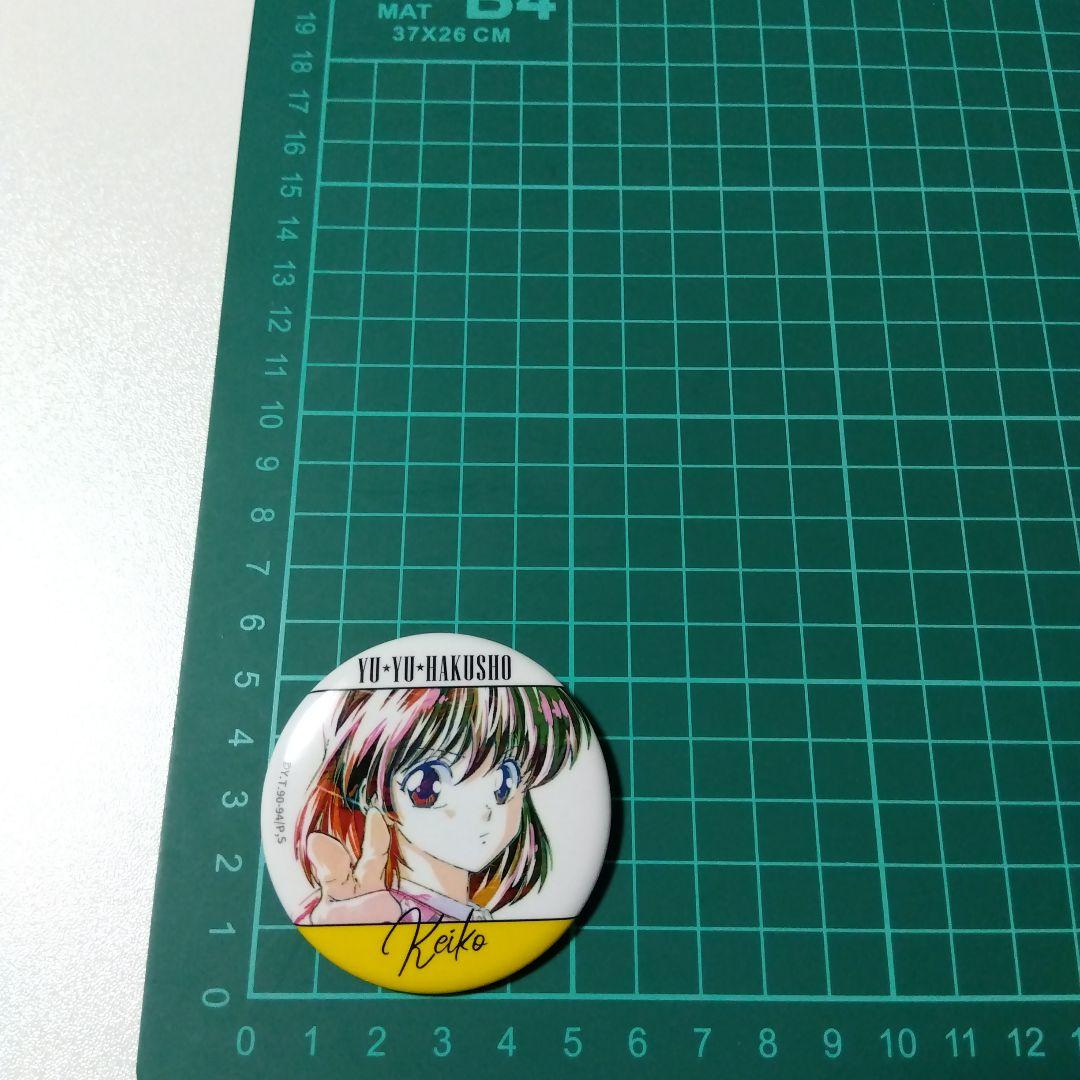 【幽☆遊☆白書】雪村螢子 Ani-Art 缶バッジ 幽遊白書