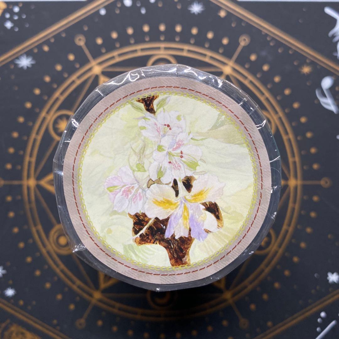 【9409】海外　マステ　3/5/巻　貝殻光マスキングテープ　お花装飾系