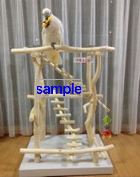 ONEUS 直筆サイン入り ポラロイド チェキ 人気 ファヌン