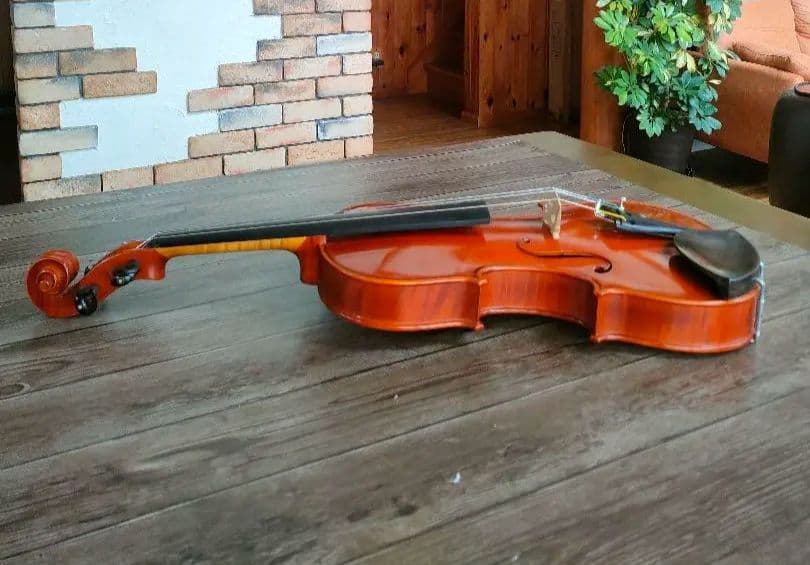 Fiumebianca Andrea DX 4/4 バイオリン 1994