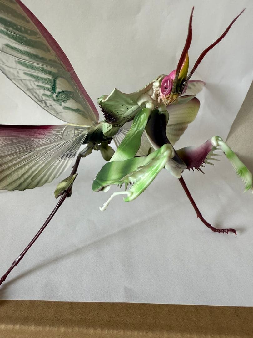 シ*ン様 いきもの大図鑑アドバンス ニセハナマオウカマキリ