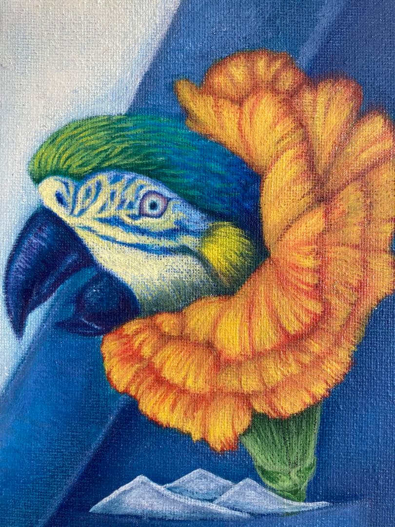 感情の花(オウム) 新人画家　大塚麻世 オウム　鳥　油彩　油絵　絵画　動物