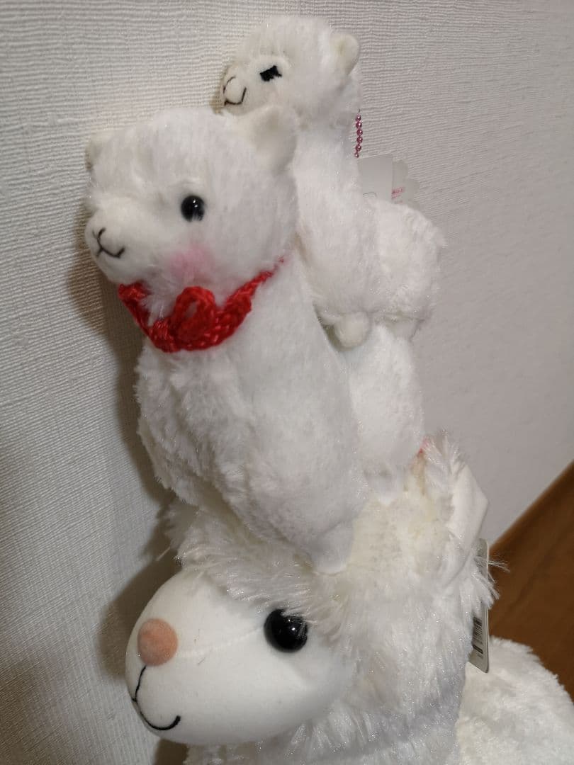 ★アルパカファミリー★