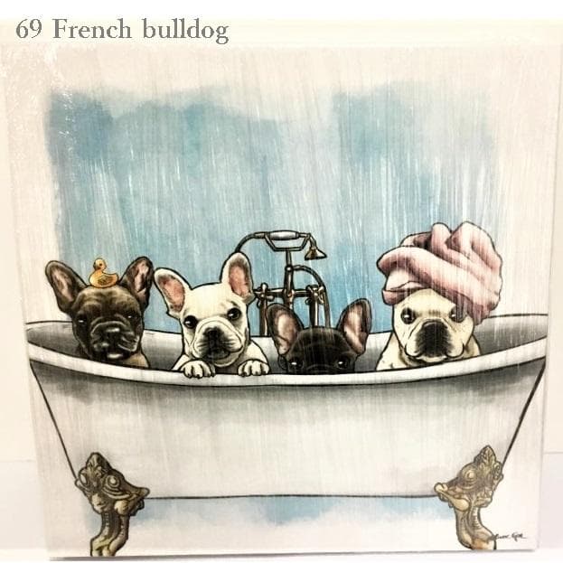 Oliver Gal -オリバーガル - OG66 67 69 70 73-4