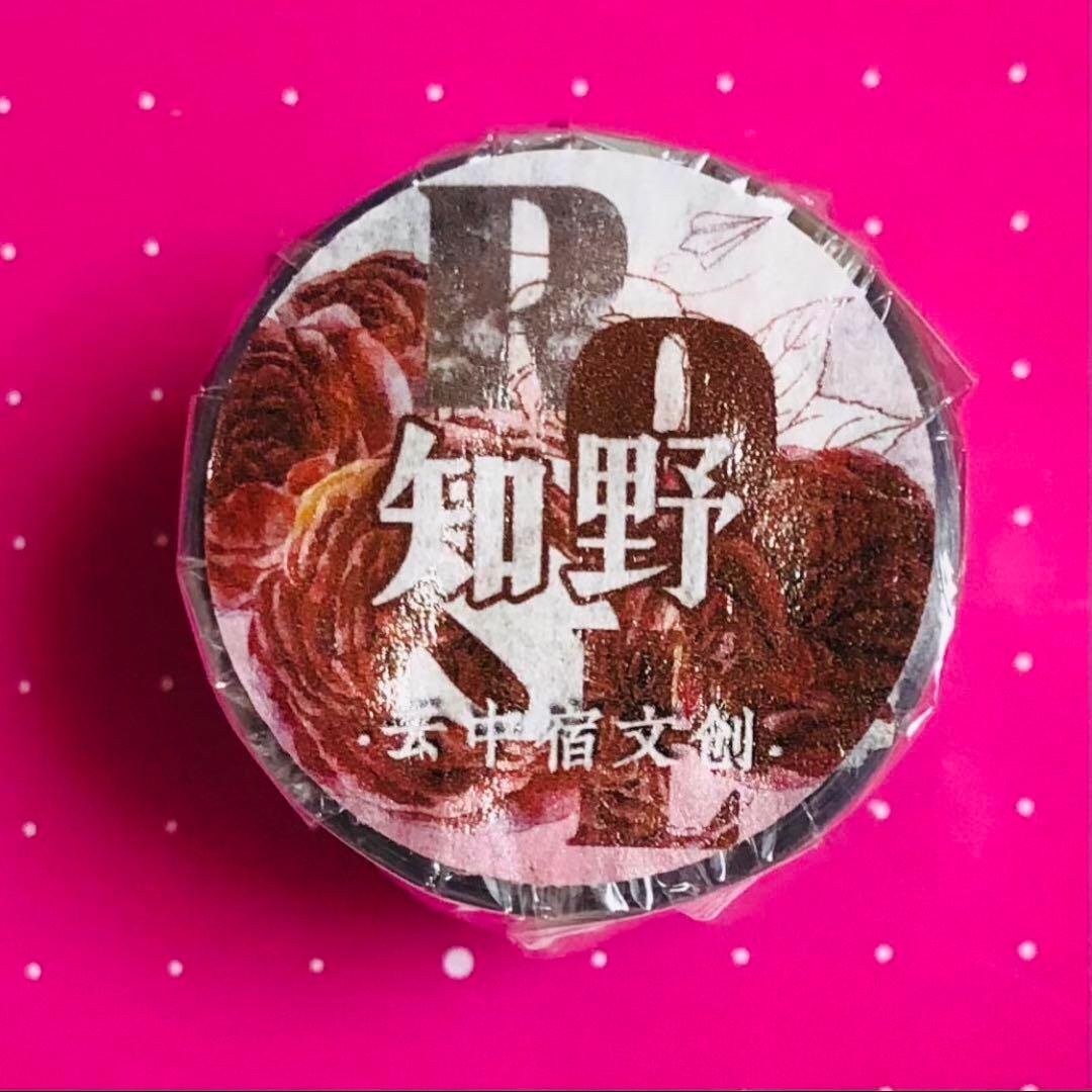 M1140.茶犁 猫咪抱枕 マスキングテープ 水晶PET