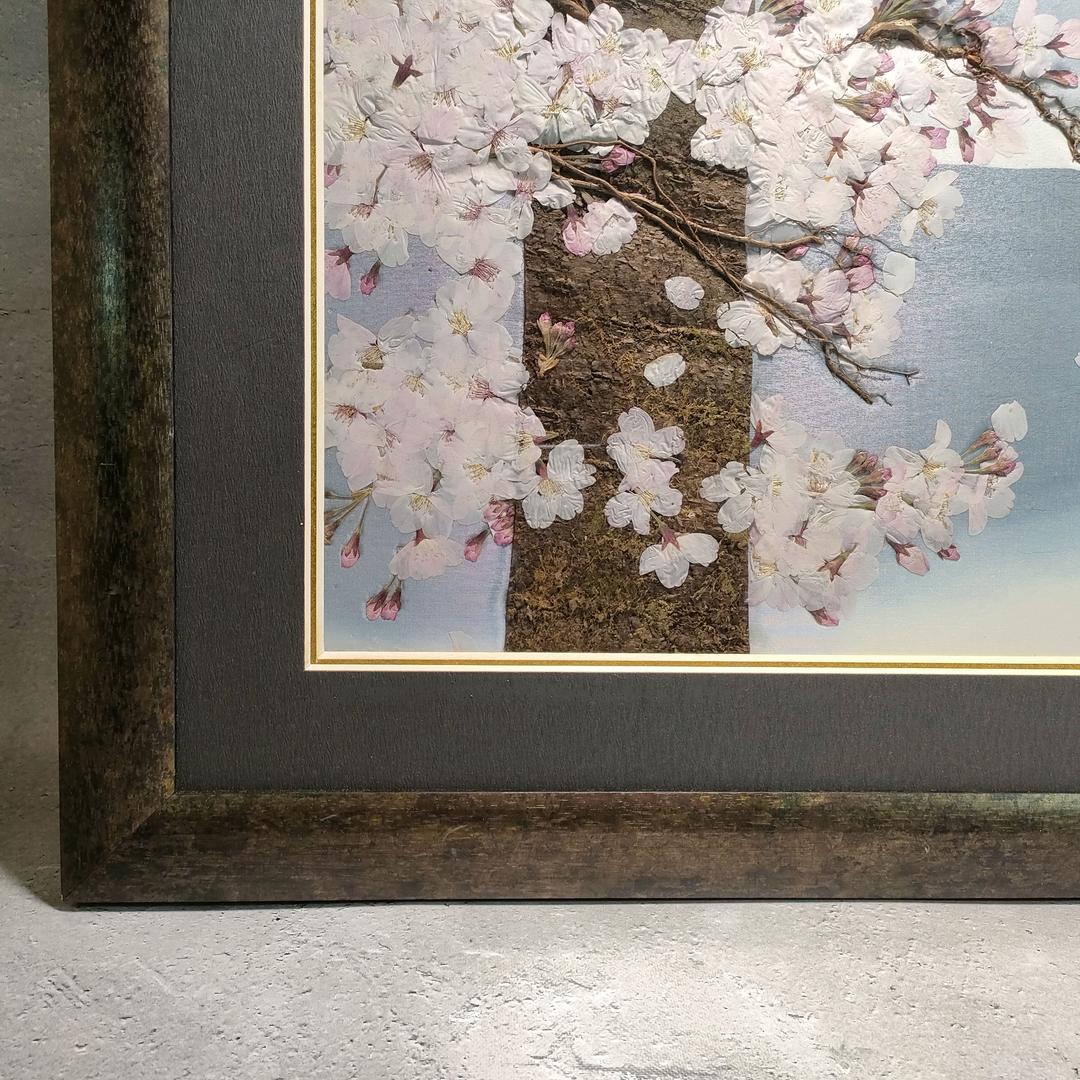押し花専用額 押し花アート 不思議な花倶楽部 サクラ 風景