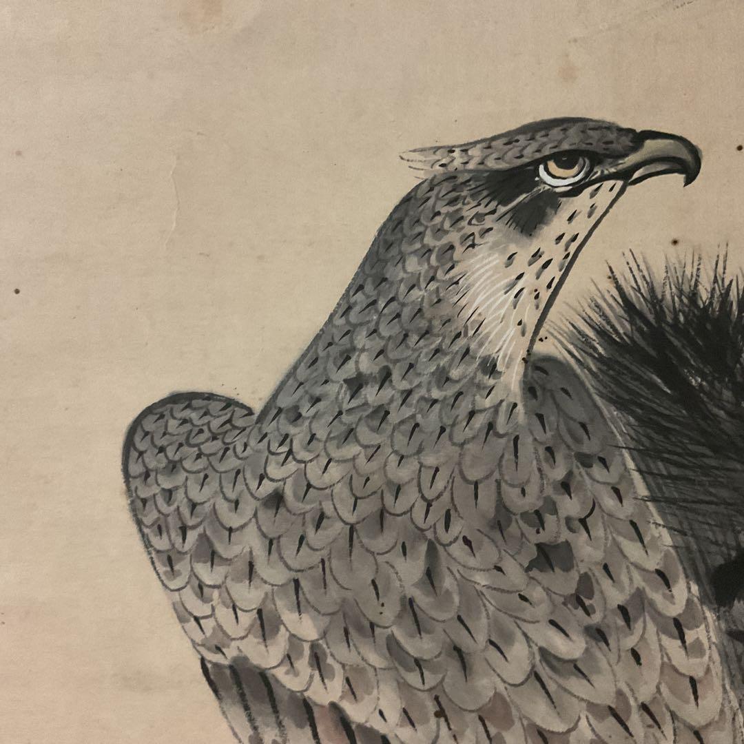 松上鷹図 紙本淡彩水墨画 落款印譜在（生峰）紙表装 軸先 紫檀