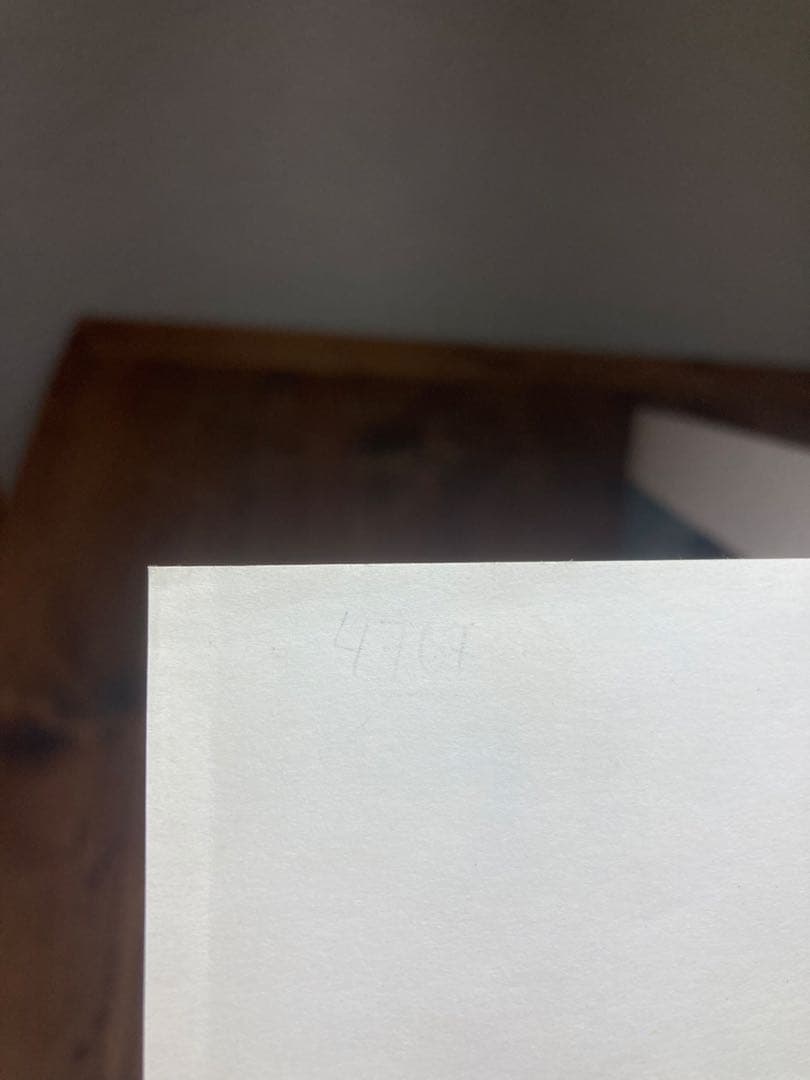 ベルナール・ビュフェ（Mourlot）工房リトグラフヴィンテージポスター