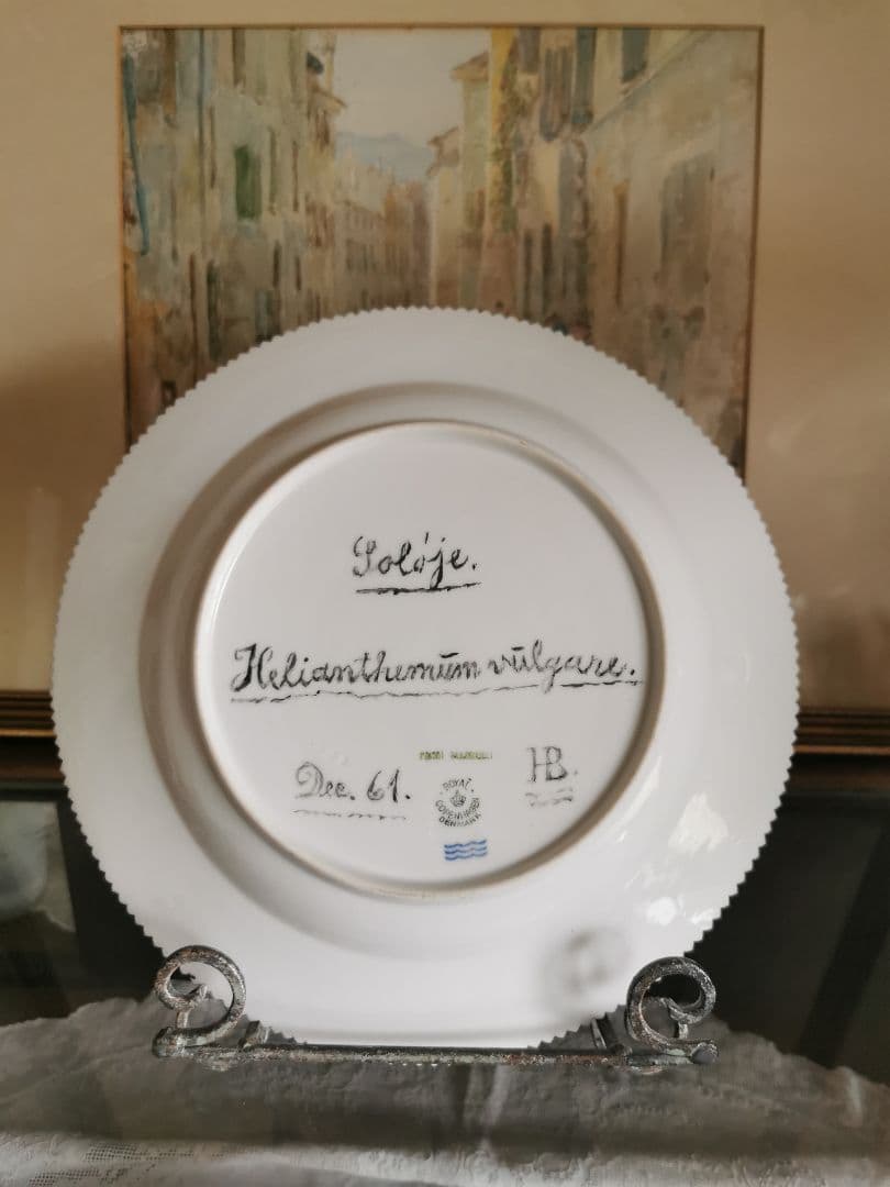 ロイヤルコペンハーゲン至宝φ25フローラダニカ 岩薔薇ヘリアンテム