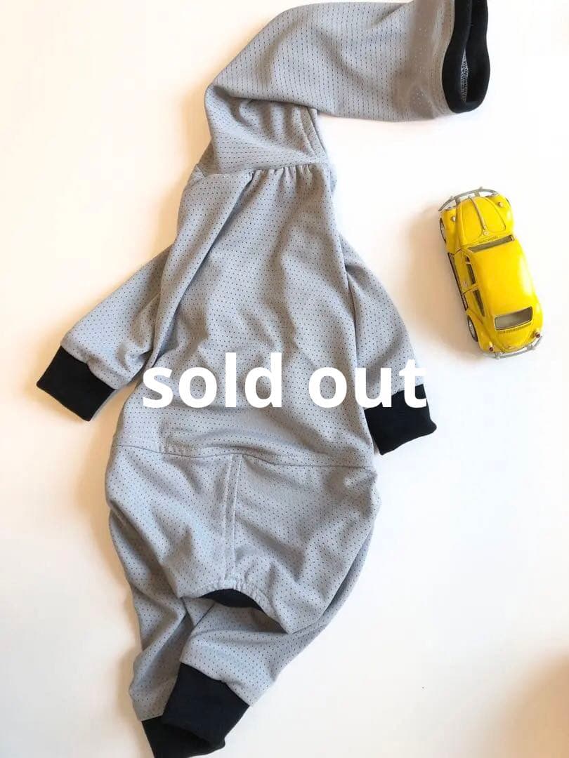 楽天市場】イタグレ ロンパースの通販 てんとう虫ロンパース Sサイズ