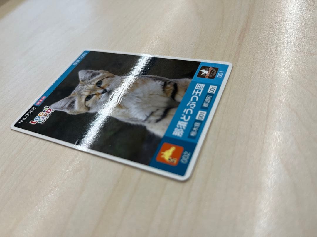 ロゲットカード　スナネコ　那須どうぶつ王国　栃木県那須