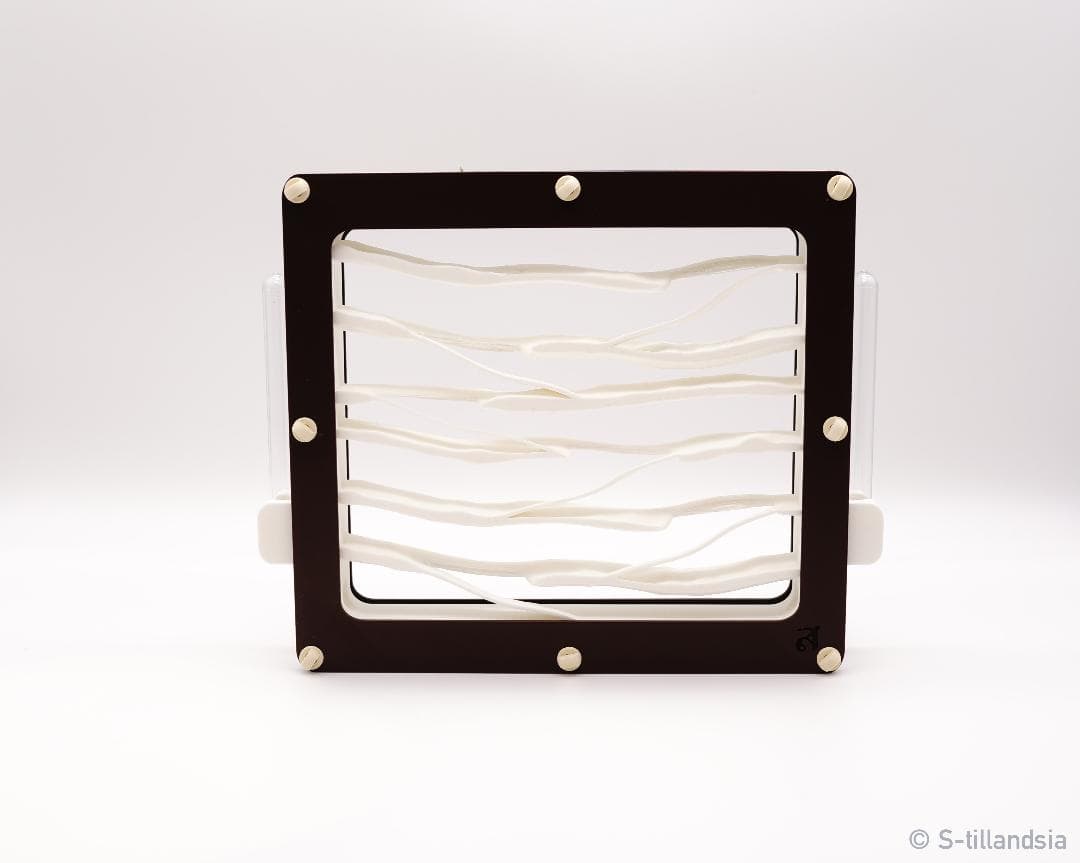 Hybrid Nest 2 side large ・アリ飼育ケース2つセット